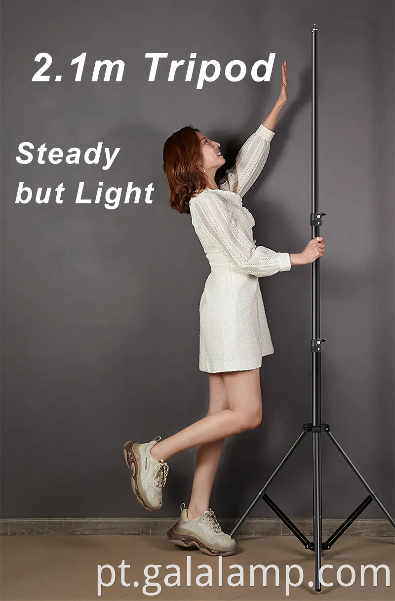 Softbox Professional Octagon para iluminação fotográfica de Monte Bowens